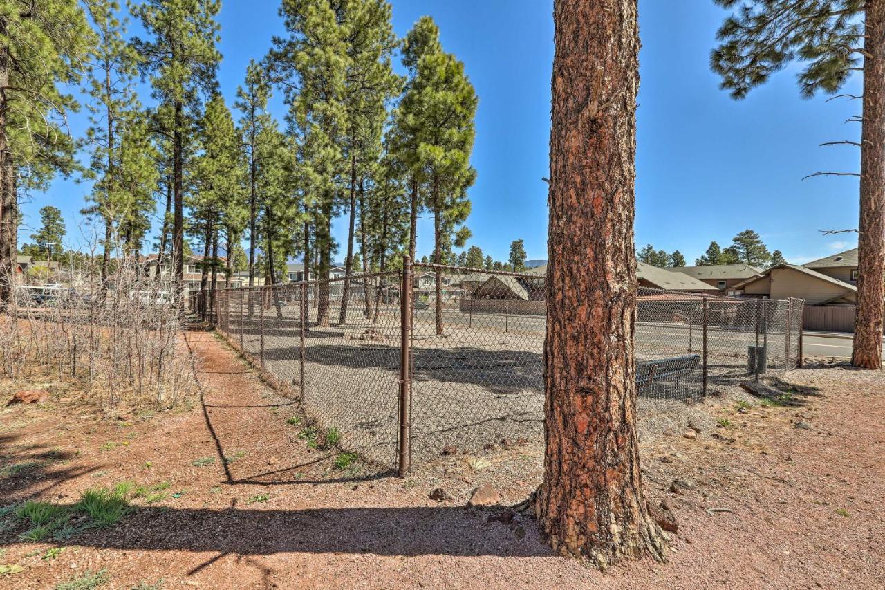 Modern Flagstaff Home, 4 Mi To Downtown! エクステリア 写真